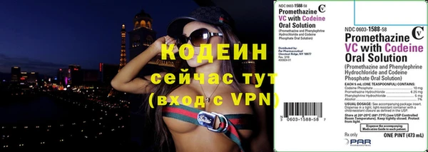индика Лиски