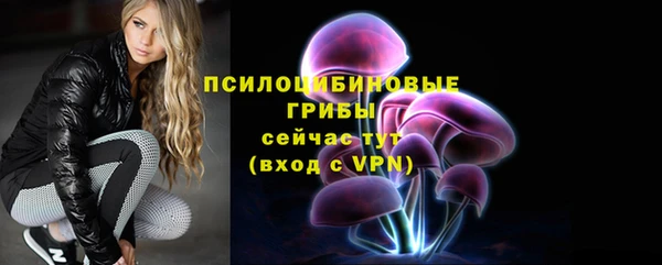 индика Магас