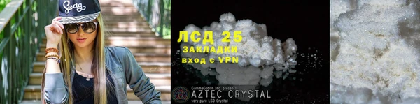 индика Магас