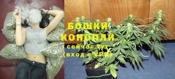 индика Магас