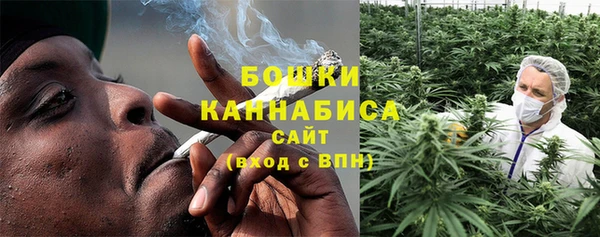 эйфоретик Липки