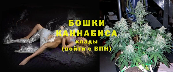 прущий лед Ладушкин