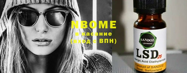 индика Магас